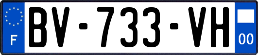 BV-733-VH