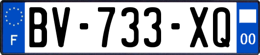 BV-733-XQ