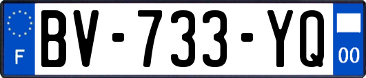 BV-733-YQ