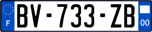 BV-733-ZB