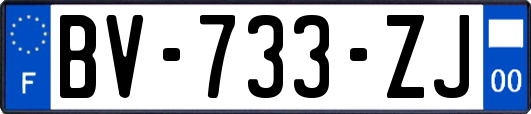 BV-733-ZJ