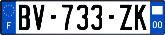 BV-733-ZK