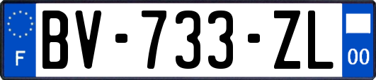 BV-733-ZL