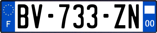 BV-733-ZN