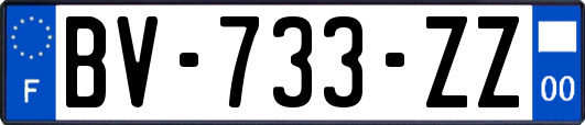 BV-733-ZZ