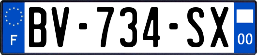 BV-734-SX