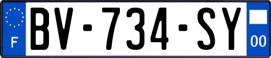 BV-734-SY