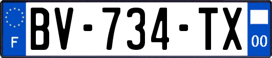 BV-734-TX