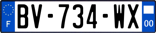 BV-734-WX