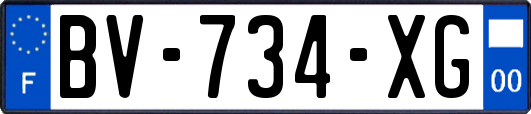 BV-734-XG