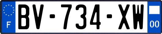 BV-734-XW