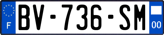 BV-736-SM