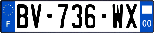 BV-736-WX