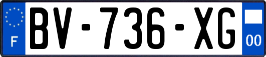 BV-736-XG