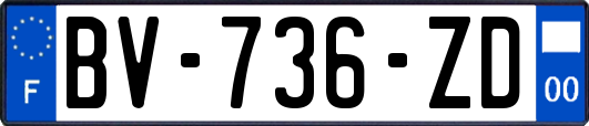 BV-736-ZD