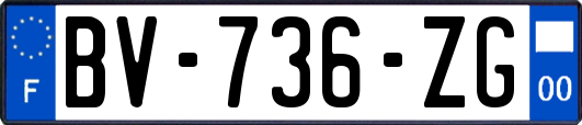 BV-736-ZG