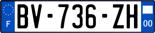 BV-736-ZH