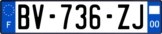 BV-736-ZJ