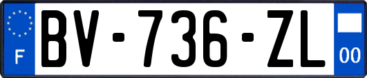 BV-736-ZL