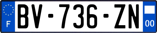 BV-736-ZN