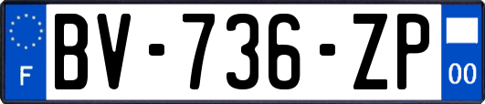 BV-736-ZP