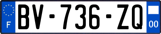 BV-736-ZQ