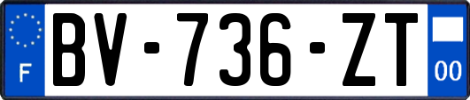 BV-736-ZT