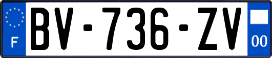 BV-736-ZV