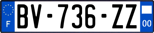 BV-736-ZZ