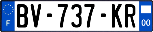 BV-737-KR