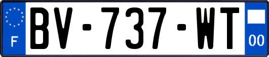 BV-737-WT