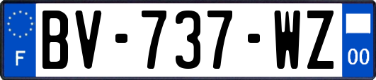 BV-737-WZ