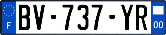 BV-737-YR