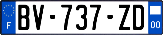 BV-737-ZD