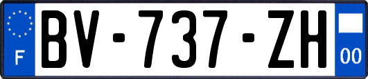 BV-737-ZH