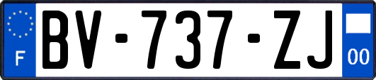 BV-737-ZJ