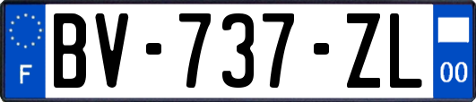 BV-737-ZL