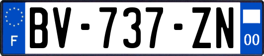 BV-737-ZN