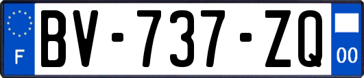 BV-737-ZQ