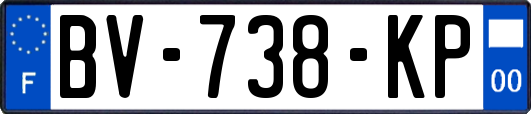 BV-738-KP