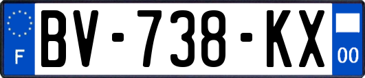 BV-738-KX