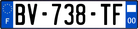 BV-738-TF