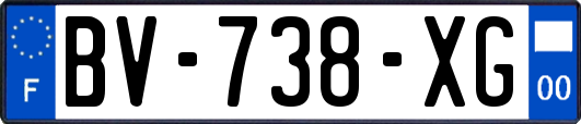 BV-738-XG