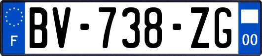 BV-738-ZG