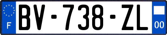 BV-738-ZL