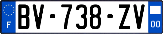 BV-738-ZV