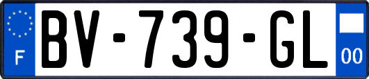BV-739-GL