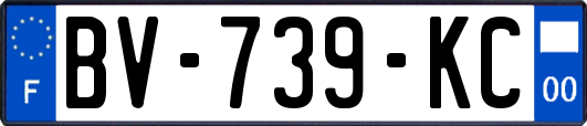BV-739-KC
