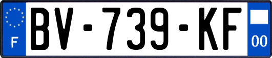 BV-739-KF