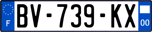BV-739-KX